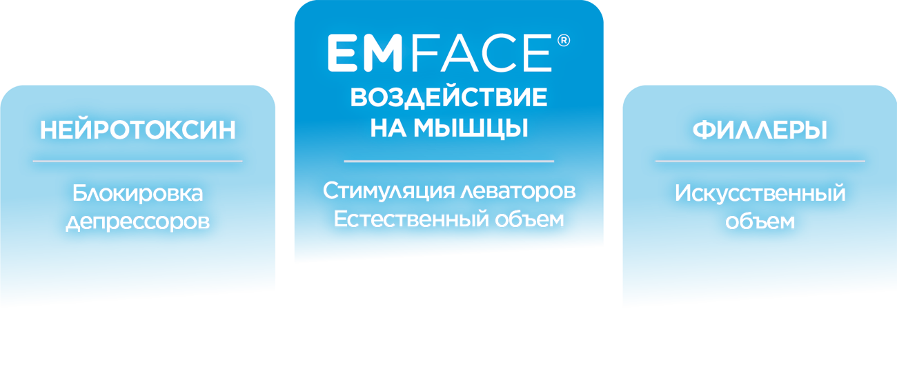 Emface_WEB_Webinar_campaign_3-Pillars_RU101