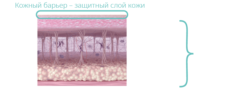Аппарат EMFUSION восстанавливает кожный барьер